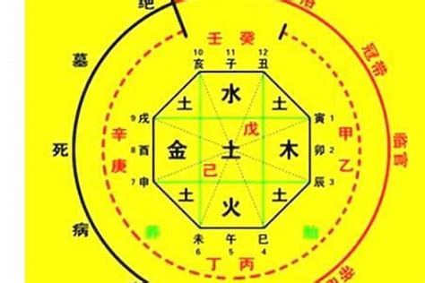 八字喜忌查詢|生辰八字算命、五行喜用神查询（免费测算）